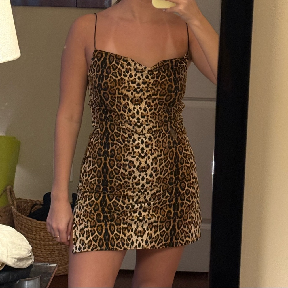 Leopard Print Mini Dress - Picture 4 of 4
